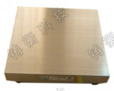 電子地磅秤