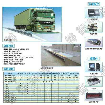 汽車電子地磅